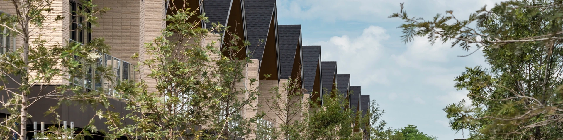 Sustainability Reports