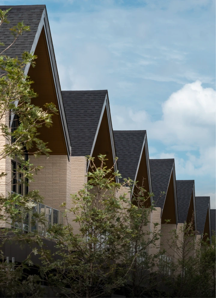 Economic and Governance