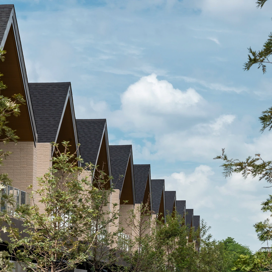 Economic and Governance