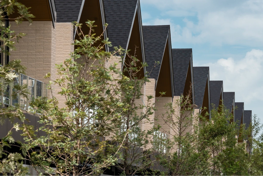 Economic and Governance